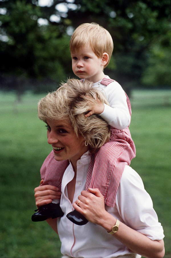 Księżna Diana, jak zmieniła monarchię, Diana, książę Harry