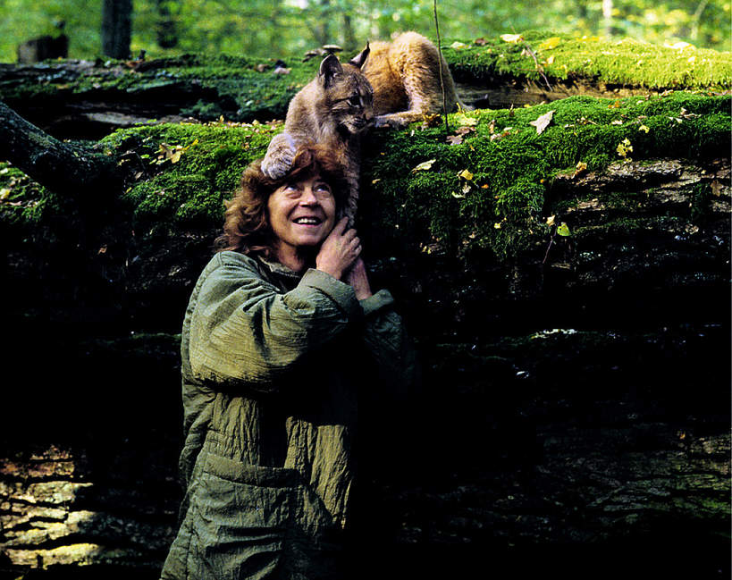Simona córka Kossaka autorka filmów przyrodniczych, biolożka żyła ze zwierzętami w puszczy białowieskiej historia miłości z lechem wilczkiem
