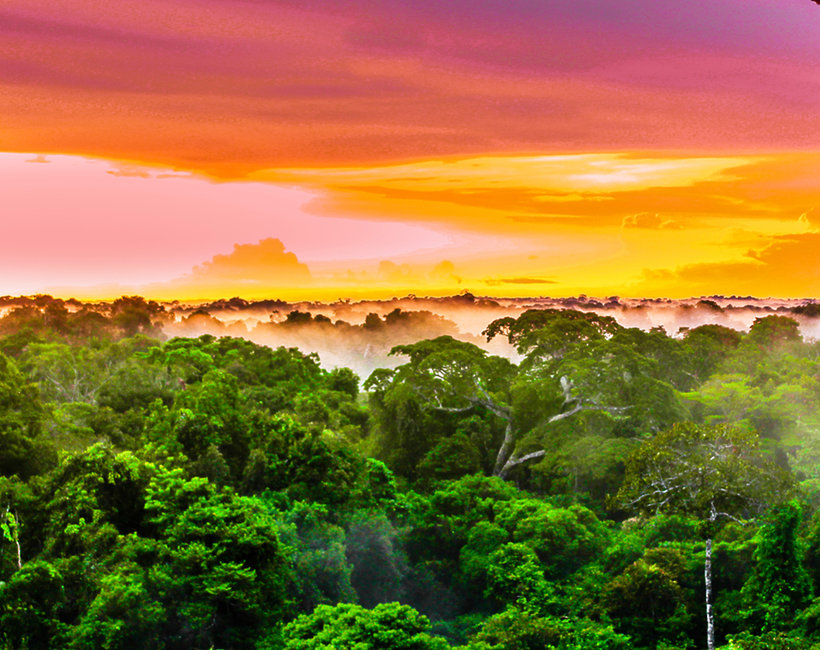 Amazonia cud natury
