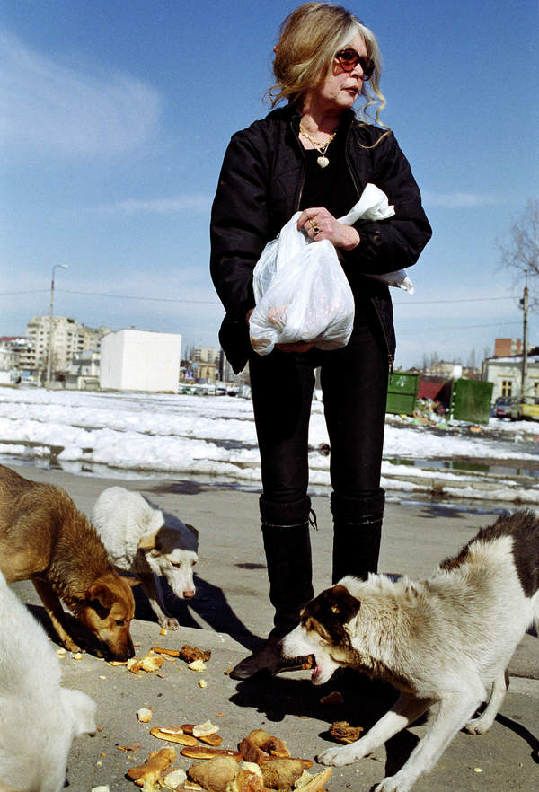 Brigitte Bardot w Bukareszcie, 2001 rok