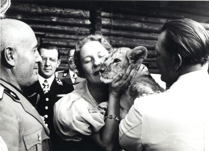 Emmy Goring tuli jedno ze swoich lwiątek, obserwowana przez męża i Benito Mussoliniego