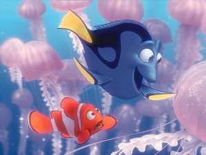 Gdzie jest Nemo. Kadr z filmu