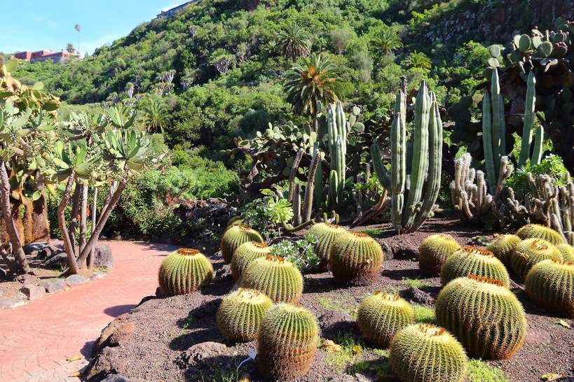 Gran Canaria Jardin Botanico
