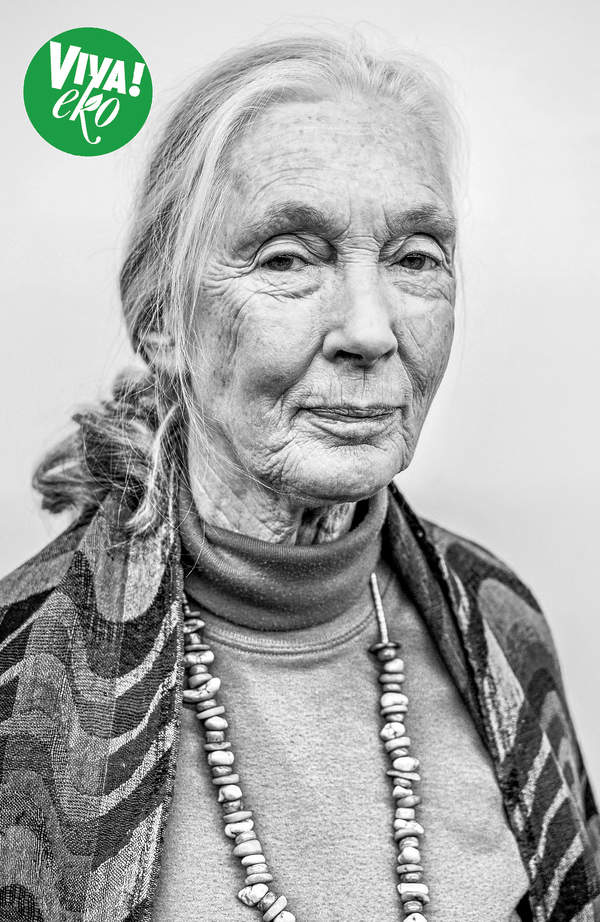 Jane Goodall, VIVA! Eko 18/2021
