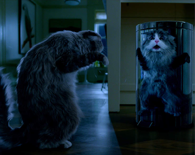 Kadr z filmu Jak zostać kotem 1