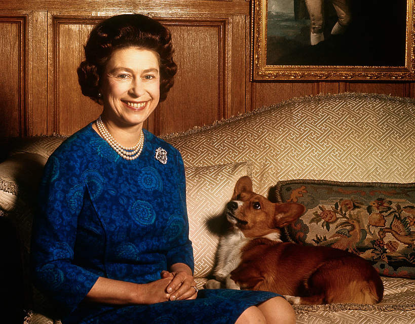 Królowa Elżbieta II, 04.02.1970 rok, psy corgi
