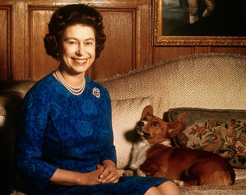 Królowa Elżbieta II, 04.02.1970 rok, psy corgi