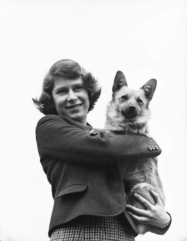 Królowa Elżbieta II, kwiecień 1940 rok, psy corgi