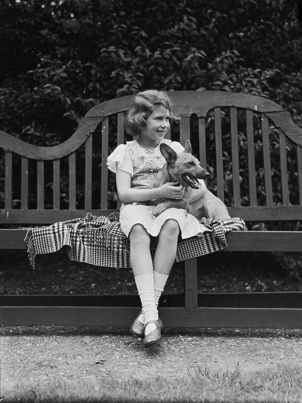 Królowa Elżbieta II, lipiec 1936 rok, psy corgi