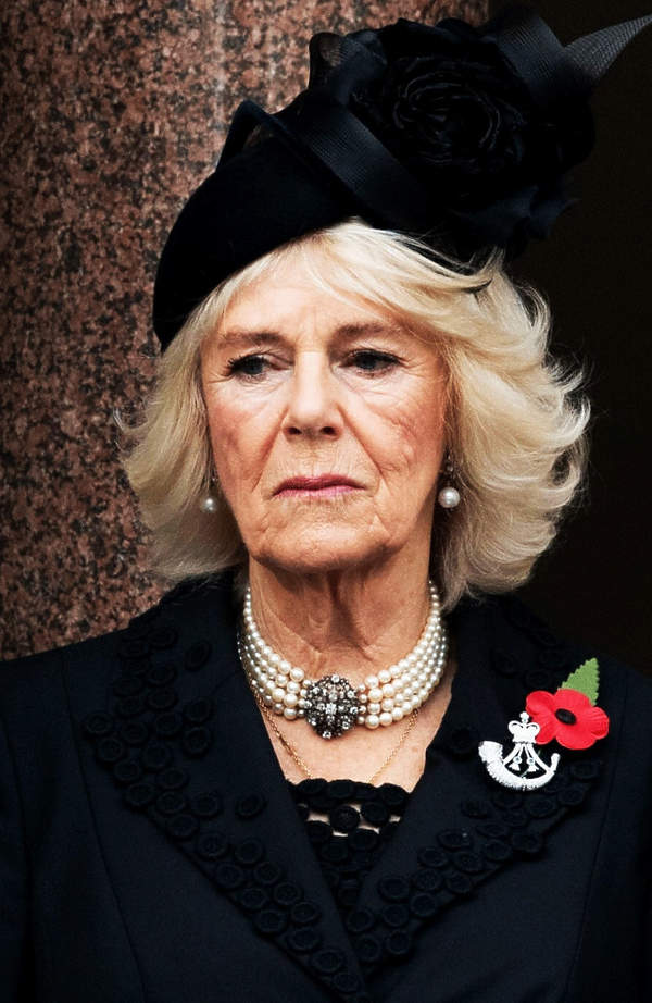 Księżna Camilla, 2020 rok