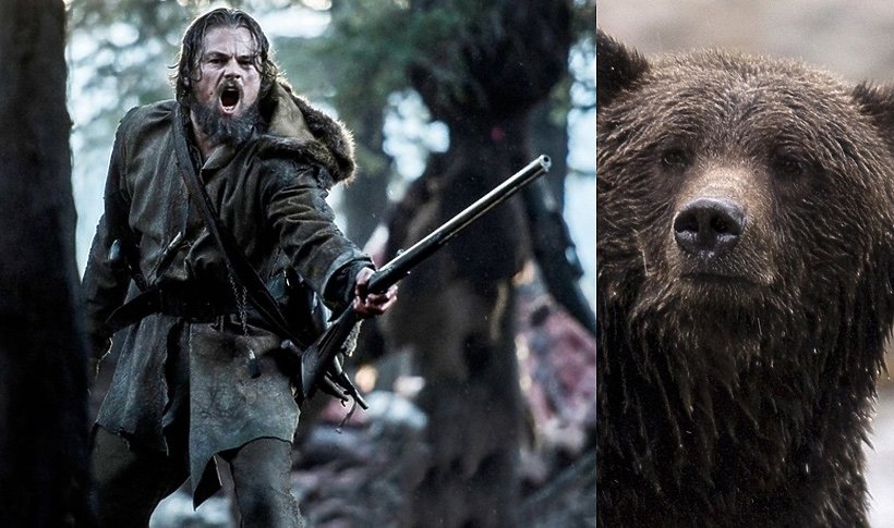 Leonardo DiCaprio z muszkietem i zdziwiony niedźwiedź grizzly