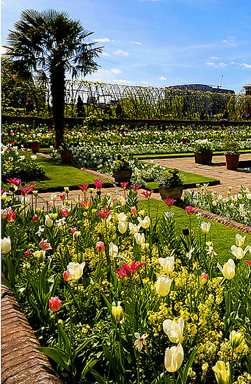 Ogrody w Pałacu Kensington