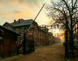 Auschwitz-Birkenau. 75 rocznica wyzwolenia &bdquo;fabryki śmierci&rdquo;