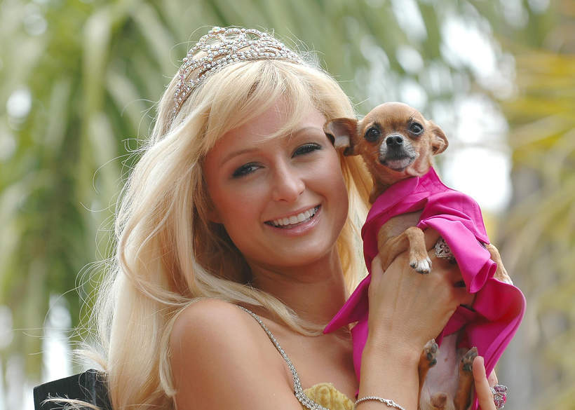 Paris Hilton, 2005