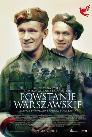 plakat filmu Powstanie Warszawskie