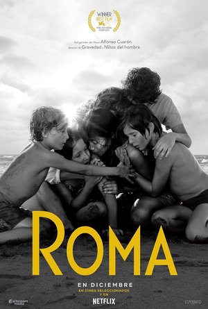 plakat filmu Roma