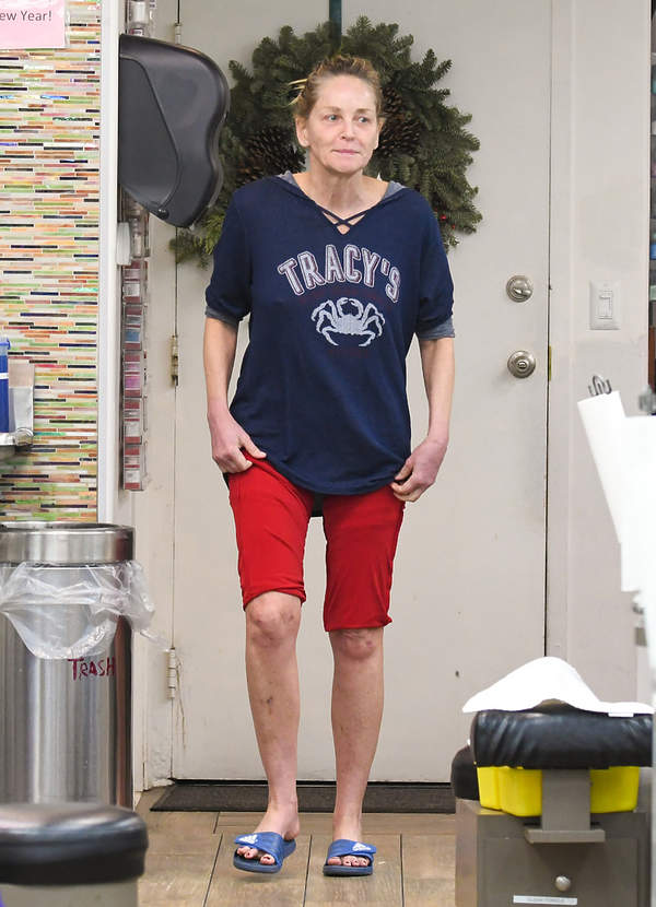 Sharon Stone, jak wygląda w 2019