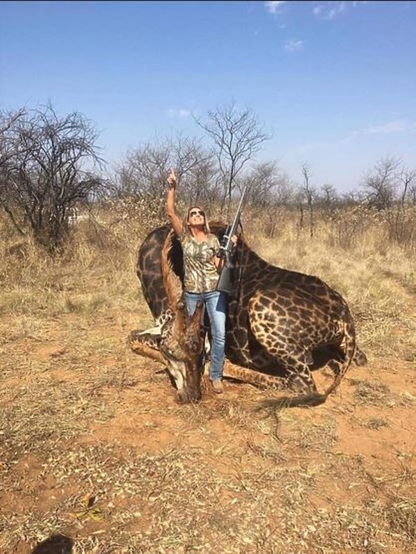 Tess Thompson Talley, Amerykanka, która zabiła żyrafę