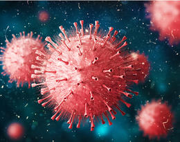 Niebezpieczny wirus wydostał się z Azji do USA. Liczba ofiar śmiertelnych wzrosła do 9