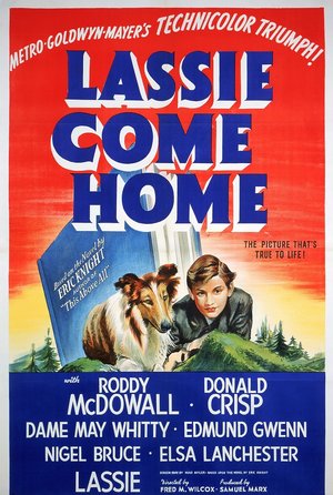 zdjęcie z filmu Lassie wróć