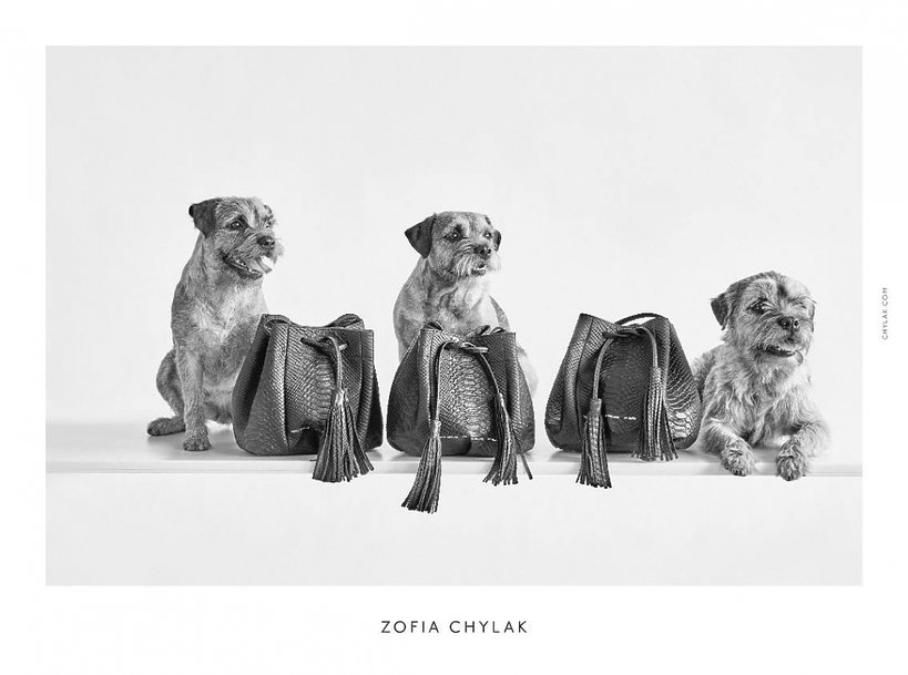 kampania Zofii Chylak z psami