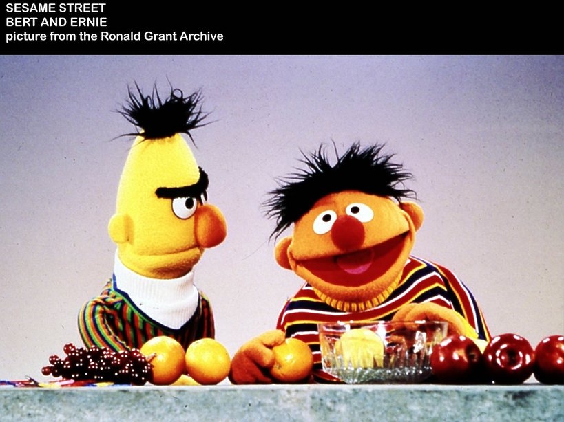 Bert i Ernie z Ulicy Sezamkowej są gejami