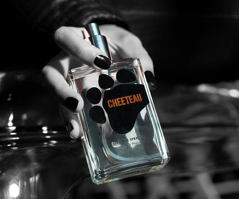 Biżuteria i perfumy inspirowane Cheetosami