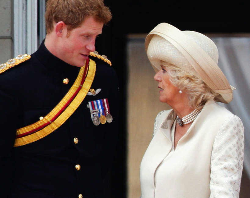 Książę Harry, księżna Camilla, Londyn, Wielka Brytania, 15.06.2013 rok