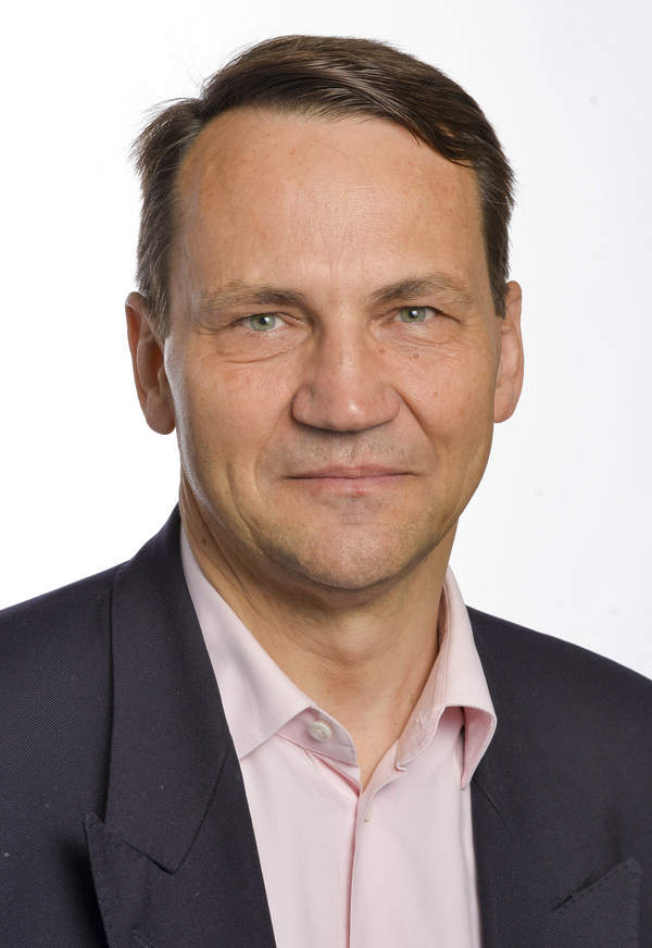 Radosław Sikorski, Polscy posłowie IX kadencji do Parlamentu Europejskiego