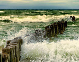 Dziś Dzień Ochrony Bałtyku! Polskim plażom i morzu grozi katastrofa!