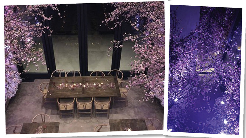 Kim Kardashian zorganizowała baby shower dla córki - Tea for Three z drzewkami wiśni cherry blossom