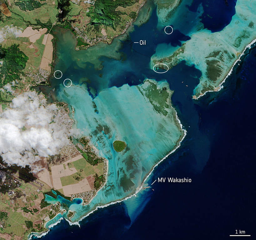 mauritius-kleska-plama-oleju-tropiki-morze-woda-katastrofa-delfiny-wyciek-zderzenie-2