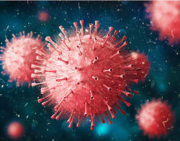 Przerażające odkrycie naukowc&oacute;w! SADS-CoV to nowy koronawirus&hellip;