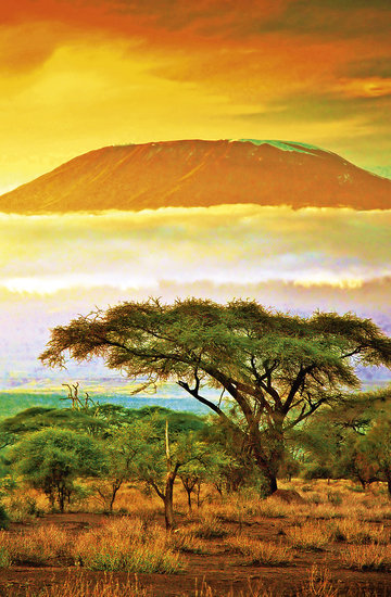 Podróże: safari w Kenii