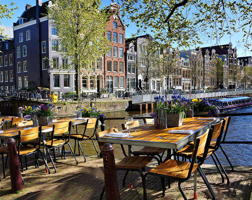 Restauracja w szklarni - Amsterdam