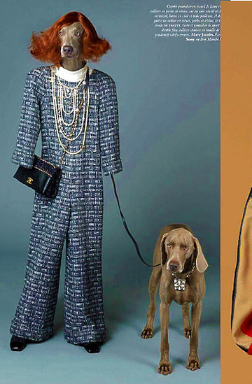Psy w sesji mody we Fancuskim „Vogue’a” - MAIN TOPIC