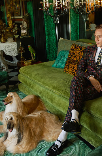 Tom Hiddleston w najnowszej kampanii Gucci