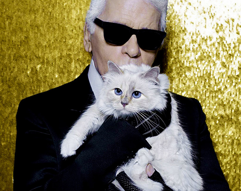 Ukochana kotka Lagerfelda „wydała” oświadczenie po jego śmierci