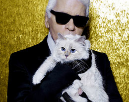 Ukochana kotka Lagerfelda &bdquo;wydała&rdquo; oświadczenie na Instagramie!